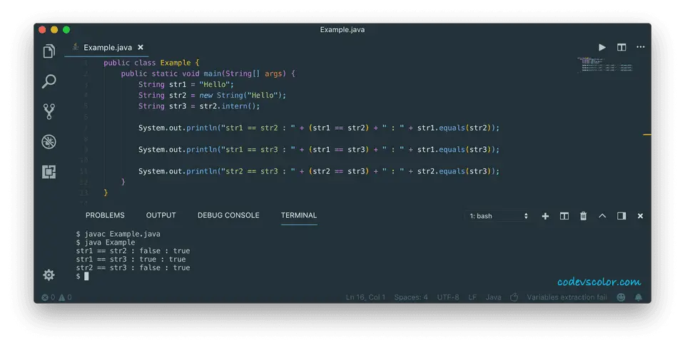 java string intern method