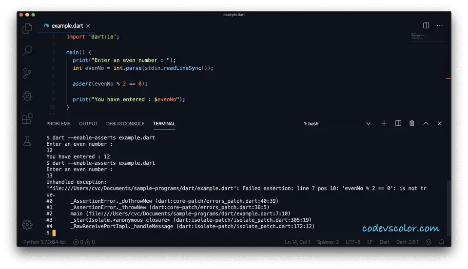 Dart assert example