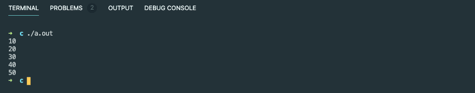 c read file store in array