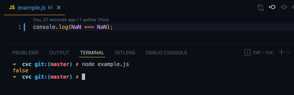 JavaScript NaN compare check