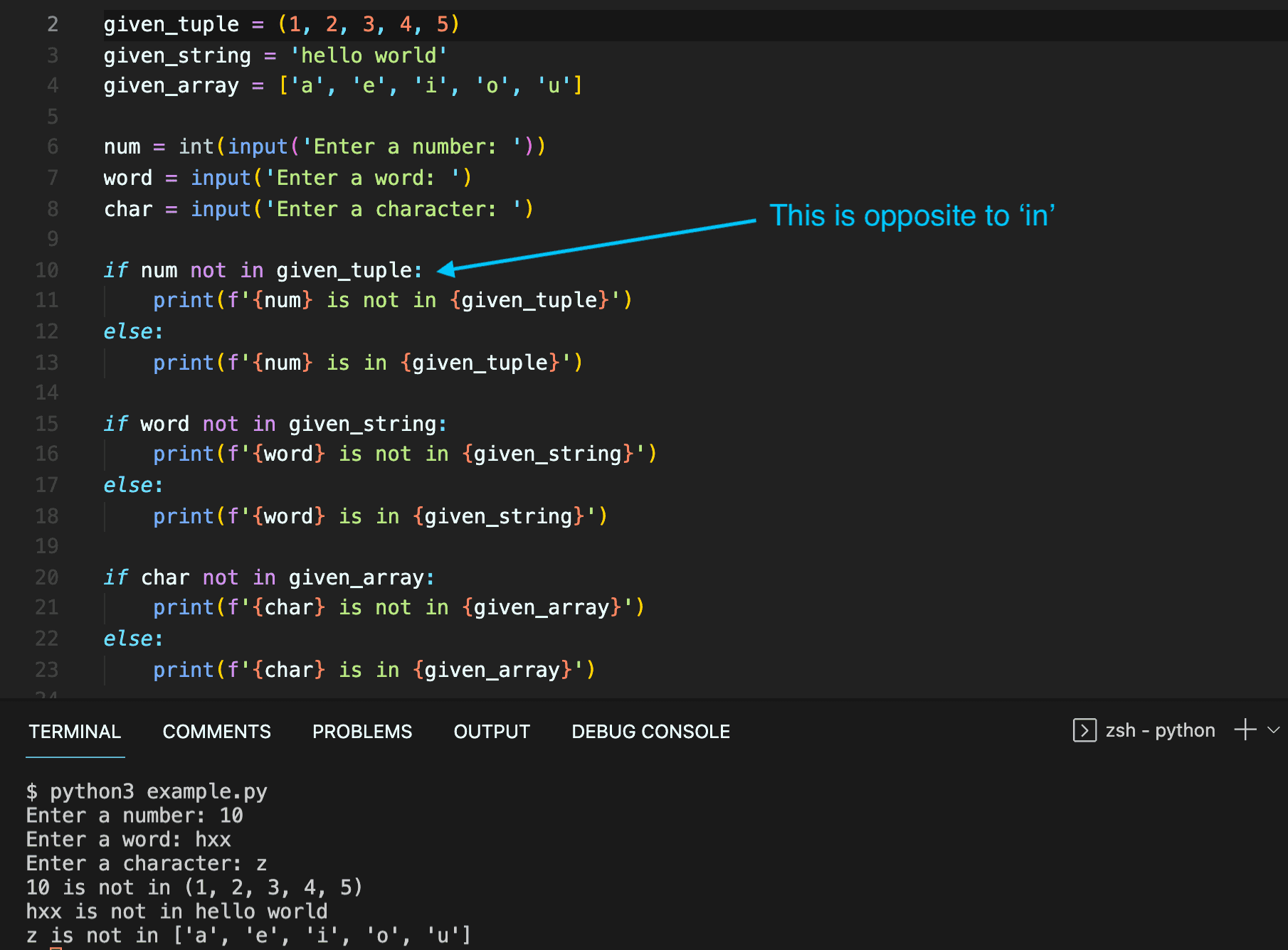 python assignment expression not